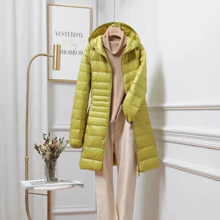 Jaune / 5XL