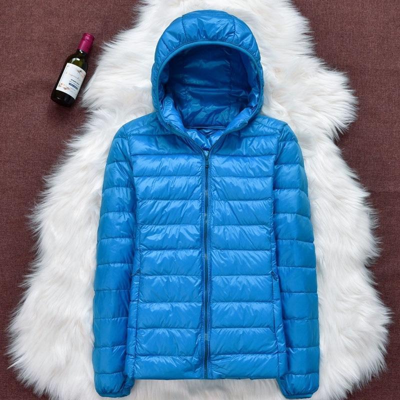 Bleu / 4XL
